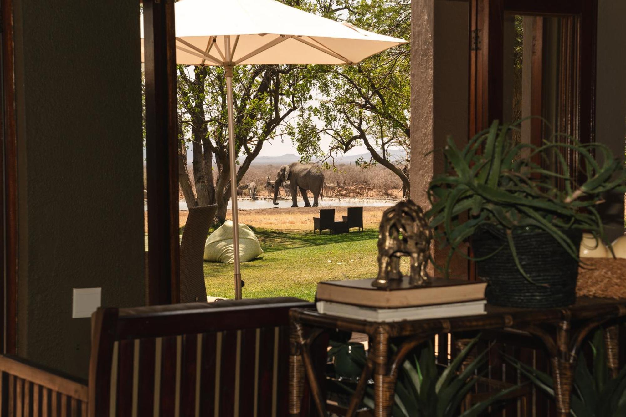Last Word Madikwe Madikwe Game Reserve Exterior photo