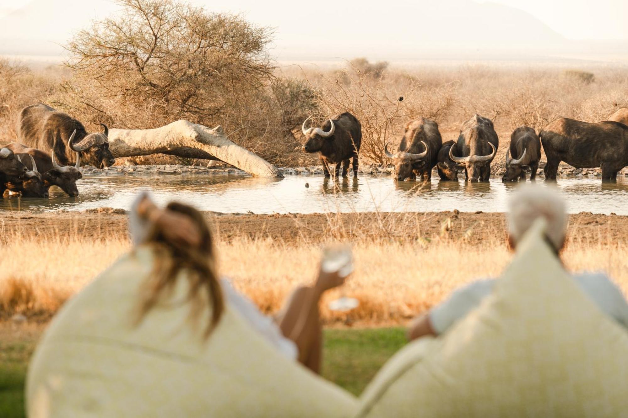 Last Word Madikwe Madikwe Game Reserve Exterior photo