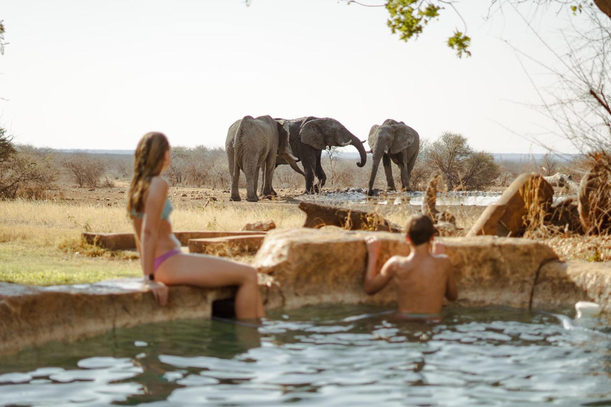 Last Word Madikwe Madikwe Game Reserve Exterior photo